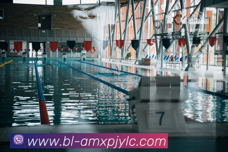 多媒体互动体验